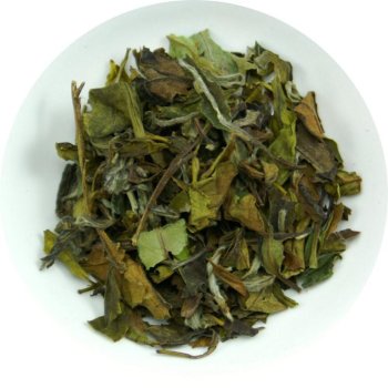 Weißer Tee China Pai Mu Tan