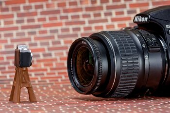 Schabziger Klee (Käseklee, Brotklee) geschnitten