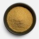 Steinpilz-Salz - der Umami-Booster